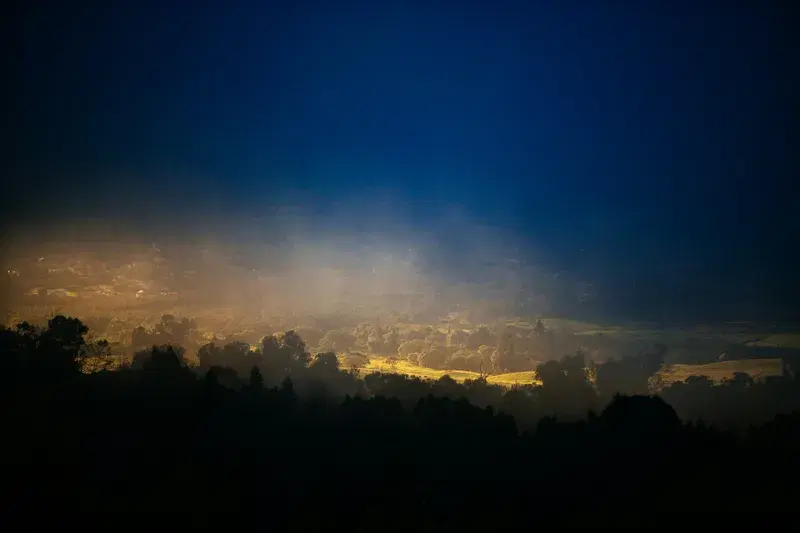 Cover Image for Capturing the Essence of Nature: Tips for Silhouette Photography