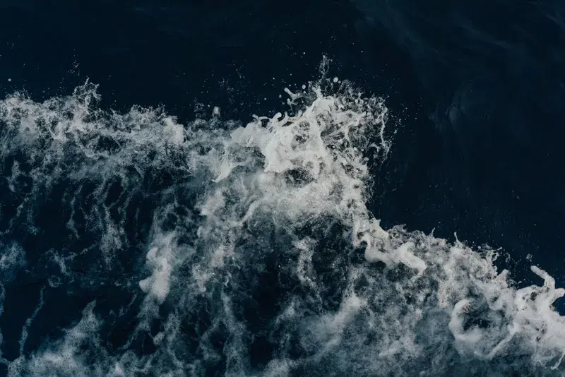 Cover Image for Capturing the Essence of Water: Techniques for Stunning Aquatic Photography