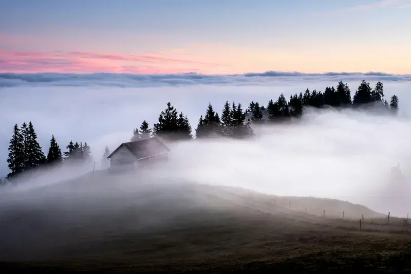 Cover Image for Capturing Misty Mornings: Tips for Landscape Photography