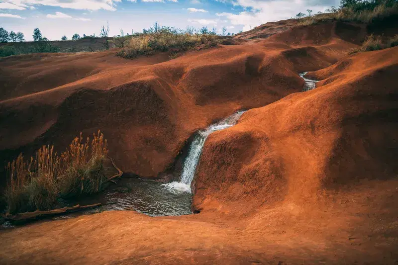 Cover Image for Capturing Nature: Tips for Landscape Photography