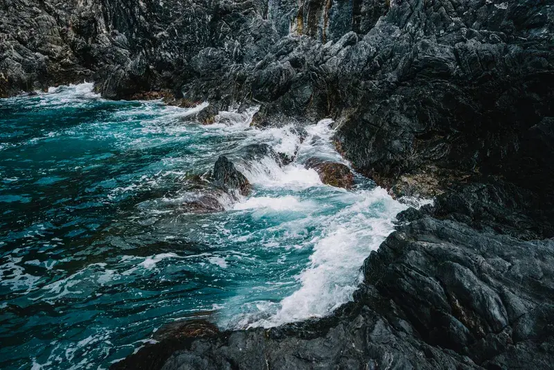 Cover Image for Capturing the Power of Ocean Waves: Tips for Photographers