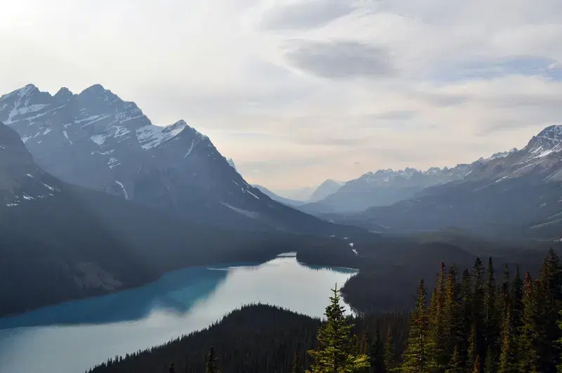 Cover Image for Capturing the Beauty of Peyto Lake: Photography Tips for Mountain Landscapes