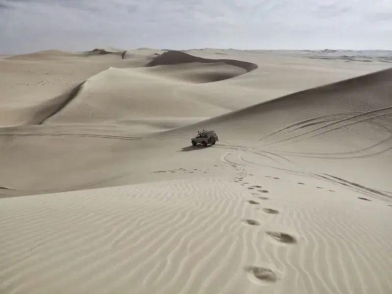 Cover Image for Capturing the Wild: Tips for Outdoor Photography in Desert Landscapes