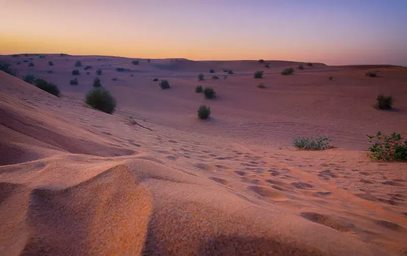 Cover Image for Capturing the Beauty of the Desert: Photography Tips for Your Safari