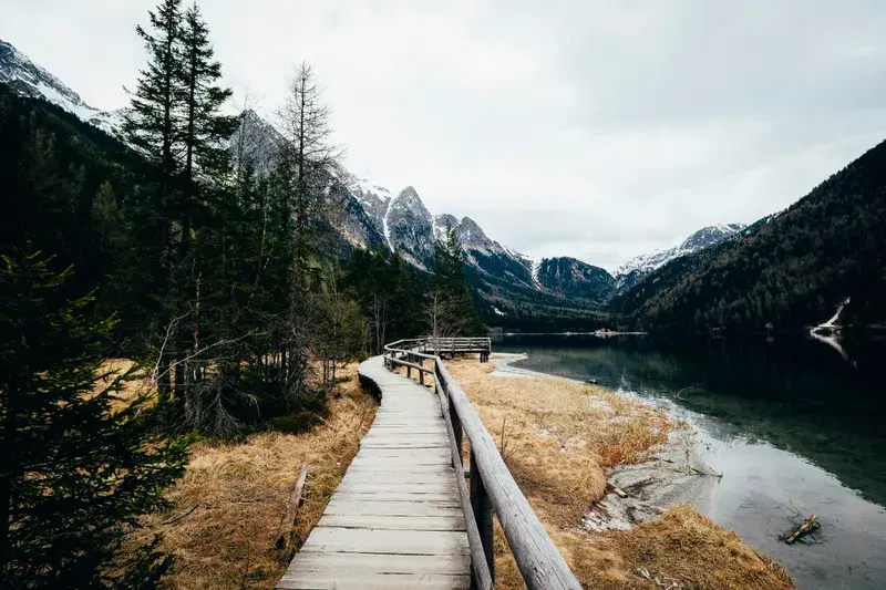 Cover Image for Capturing the Beauty of Nature: Tips for Landscape Photography