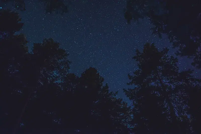 Cover Image for Capturing the Night: Tips for Nighttime Photography in the Wilderness