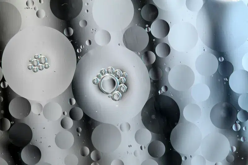 Cover Image for Capturing Nature: Techniques for Photographing Water Droplets