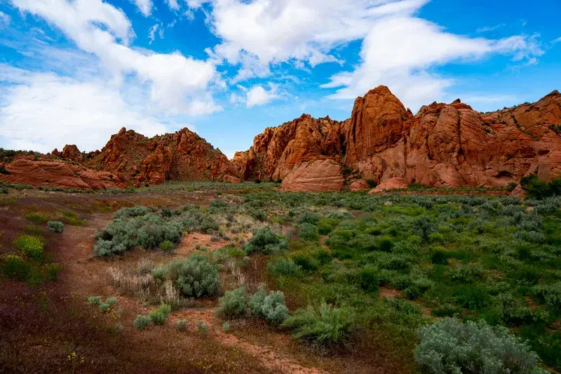 Cover Image for Capturing the Perfect Hike: Tips for Outdoor Photography