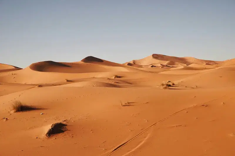 Cover Image for Capturing the Beauty of Dry Desolation: A Guide to Desert Landscape Photography